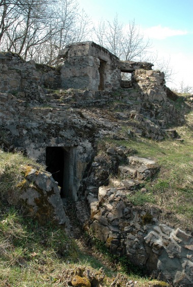 Stellung Bischofshut - Thierry Ehret