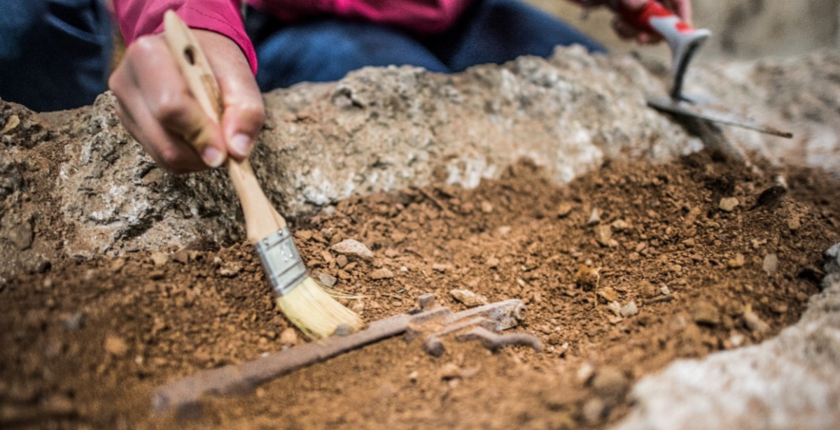 Journées européennes de l’archéologie au Hartmannswillerkopf