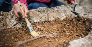 Journées européennes de l’archéologie au Hartmannswillerkopf