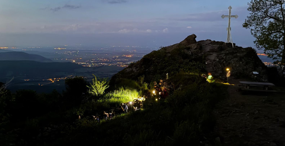 Nuit européenne des musées